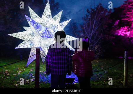 Kew Gardens, Richmond, Regno Unito. 16 novembre 2021. Oltre un milione di luci scintillanti illuminano gli iconici giardini Kew mentre la loro esposizione di luci di Natale ritorna per un nono anno. Il Natale a Kew parte da mercoledì 17 novembre 2021 a domenica 9 gennaio 2022 Amanda Rose/Alamy Live News Foto Stock