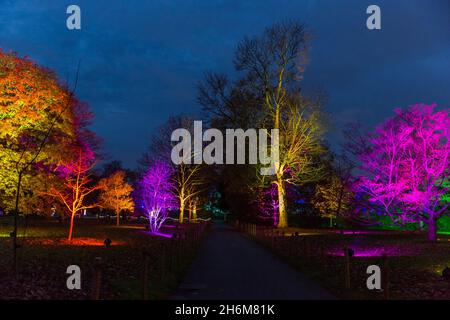 Kew Gardens, Richmond, Regno Unito. 16 novembre 2021. Oltre un milione di luci scintillanti illuminano gli iconici giardini Kew mentre la loro esposizione di luci di Natale ritorna per un nono anno. Il Natale a Kew parte da mercoledì 17 novembre 2021 a domenica 9 gennaio 2022 Amanda Rose/Alamy Live News Foto Stock