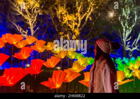 Kew Gardens, Richmond, Regno Unito. 16 novembre 2021. Oltre un milione di luci scintillanti illuminano gli iconici giardini Kew mentre la loro esposizione di luci di Natale ritorna per un nono anno. Il Natale a Kew parte da mercoledì 17 novembre 2021 a domenica 9 gennaio 2022 Amanda Rose/Alamy Live News Foto Stock