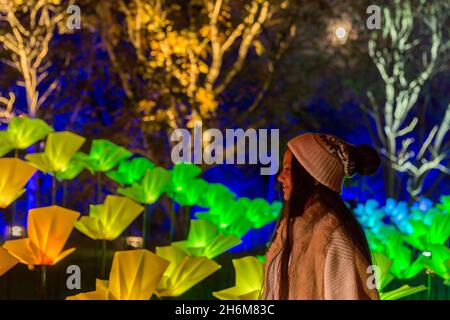 Kew Gardens, Richmond, Regno Unito. 16 novembre 2021. Oltre un milione di luci scintillanti illuminano gli iconici giardini Kew mentre la loro esposizione di luci di Natale ritorna per un nono anno. Il Natale a Kew parte da mercoledì 17 novembre 2021 a domenica 9 gennaio 2022 Amanda Rose/Alamy Live News Foto Stock