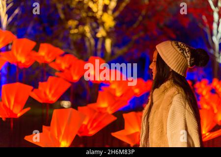 Kew Gardens, Richmond, Regno Unito. 16 novembre 2021. Oltre un milione di luci scintillanti illuminano gli iconici giardini Kew mentre la loro esposizione di luci di Natale ritorna per un nono anno. Il Natale a Kew parte da mercoledì 17 novembre 2021 a domenica 9 gennaio 2022 Amanda Rose/Alamy Live News Foto Stock
