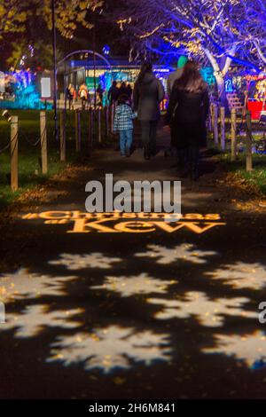 Kew Gardens, Richmond, Regno Unito. 16 novembre 2021. Oltre un milione di luci scintillanti illuminano gli iconici giardini Kew mentre la loro esposizione di luci di Natale ritorna per un nono anno. Il Natale a Kew parte da mercoledì 17 novembre 2021 a domenica 9 gennaio 2022 Amanda Rose/Alamy Live News Foto Stock