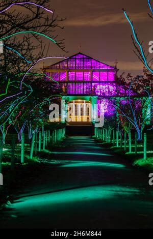 Kew Gardens, Richmond, Regno Unito. 16 novembre 2021. Oltre un milione di luci scintillanti illuminano gli iconici giardini Kew mentre la loro esposizione di luci di Natale ritorna per un nono anno. Il Natale a Kew parte da mercoledì 17 novembre 2021 a domenica 9 gennaio 2022 Amanda Rose/Alamy Live News Foto Stock