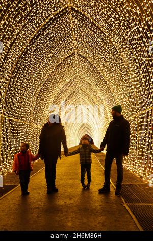 Kew Gardens, Richmond, Regno Unito. 16 novembre 2021. Oltre un milione di luci scintillanti illuminano gli iconici giardini Kew mentre la loro esposizione di luci di Natale ritorna per un nono anno. Il Natale a Kew parte da mercoledì 17 novembre 2021 a domenica 9 gennaio 2022 Amanda Rose/Alamy Live News Foto Stock