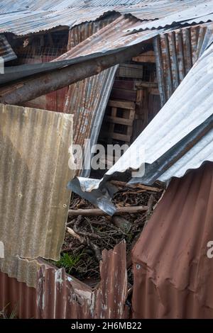 Granaio derelitto, Qualburn, South Canterbury, South Island, Nuova Zelanda Foto Stock