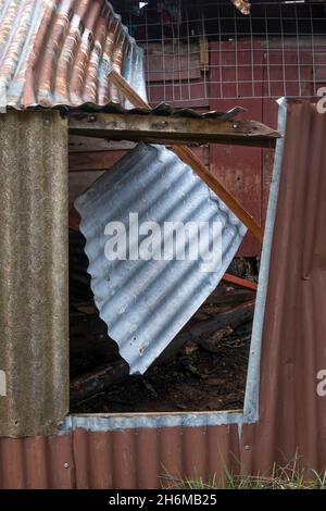 Granaio derelitto, Qualburn, South Canterbury, South Island, Nuova Zelanda Foto Stock