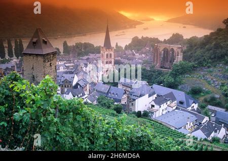 Panoramica di Bacharach e del fiume Reno all'alba, Renania-Palatinato, Germania Foto Stock