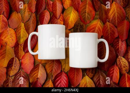 Due tazze bianche del caffè sulla caduta rossa lascia mockup di fondo. Tazza vuota per la promozione del design, modello in stile Foto Stock