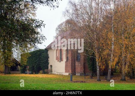 11 novembre 2021, Brandeburgo, Fürstenberg/Havel/OT Himmelpfort: Le rovine parzialmente ricoperte di edera del monastero cistercense sulle rive del lago di Haussee. Il monastero "Coeli porta" fu fondato nel XIII secolo da Margravio Albrecht III La chiesa del monastero, una birreria, gli edifici agricoli e le mura del monastero sono parzialmente conservati e protetti come monumenti architettonici. Foto: Soeren Stache/dpa/dpa-Zentralbild Foto Stock