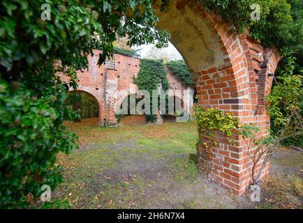 11 novembre 2021, Brandeburgo, Fürstenberg/Havel/OT Himmelpfort: Le rovine parzialmente ricoperte di edera del monastero cistercense sulle rive del lago di Haussee. Il monastero "Coeli porta" fu fondato nel XIII secolo da Margravio Albrecht III La chiesa del monastero, una birreria, gli edifici agricoli e le mura del monastero sono parzialmente conservati e protetti come monumenti architettonici. Foto: Soeren Stache/dpa/dpa-Zentralbild Foto Stock