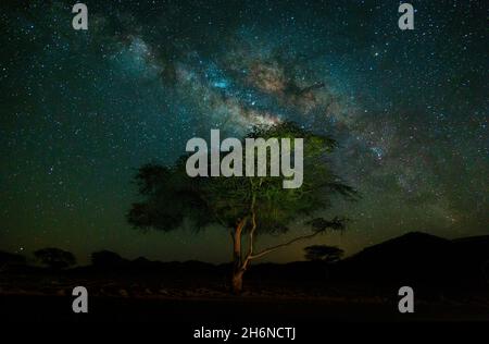 Via Lattea sopra l'arco di Lonely Tree Way di notte. Paesaggio con albero vecchio, archi luminosi, cielo con stelle, splendido universo Foto Stock