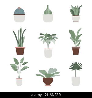 Piante tropicali, cactus e succulenti in pentole diverse isolate su sfondo bianco Design piatto Illustrazione Vettoriale