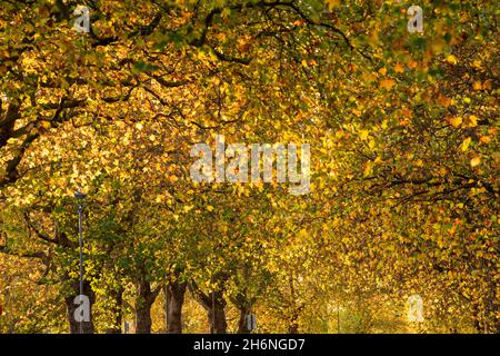 Luci serali d'autunno a Victoria Embankment, Nottingham Nottinghamshire Inghilterra UK Foto Stock