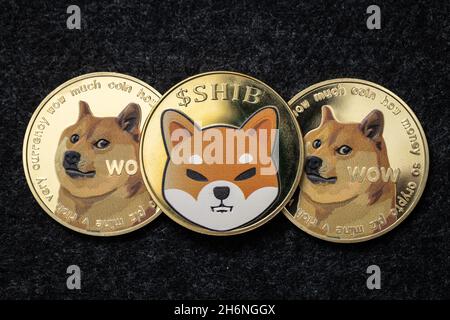 Shiba Inu Coin in cima alle monete fisiche Dogecoin Foto Stock