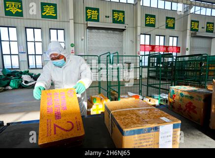 Zhangye, Zhangye, Cina. 17 novembre 2021. Il 16 novembre 2021, il personale del centro di smistamento postale espresso di Zhangye City, provincia di Gansu, sta ispezionando i pacchi espressi disinfettati. Lo stesso giorno, Zhangye, Gansu riprese il suo servizio di consegna postale. Le società Express come Zhangye City Post Express e Shunfeng hanno effettuato una rigorosa disinfezione dei veicoli per più di 300,000 pacchi espressi bloccati da Lanzhou, codici di test della temperatura del personale, prevenzione e uccisioni epidemiche di posta espressa, e tracciabilità. Dopo l'identificazione e l'ispezione e prevenire altre epidemie Foto Stock