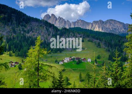 Fattorie montane alle rovine del castello di Buchenstein, anche il castello di Andraz, sotto il Passo di Falzarego, Livinallongo del col di Lana, Veneto, Dolomiti, Italia Foto Stock