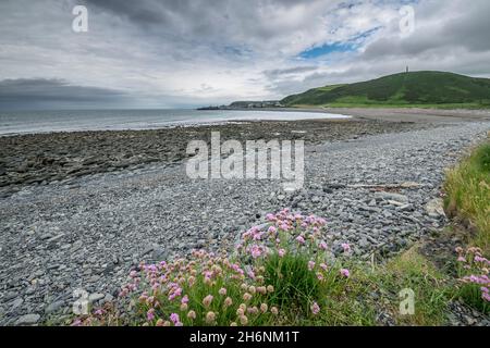 Tanybwlch spiaggia Aberystwyth in Cerediaion centro Galles guardando verso Pen Dinas collina Foto Stock