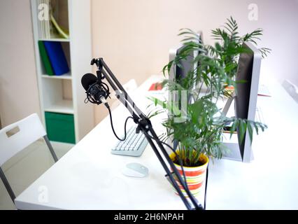 un ambiente di lavoro accogliente in uno spazio di lavoro con un computer e un fiore in una pentola. Foto Stock