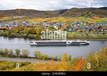 La nave da crociera sul fiume passa per il villaggio del vino di Bruttig-Fankel, Mosella, Renania-Palatinato, Germania Foto Stock