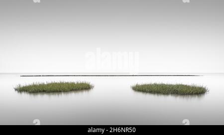 Prati in erba sulle mudflats nel Parco Nazionale del Mare di Schleswig-Holstein, Patrimonio dell'Umanità dell'UNESCO, Sylt, Isola Frisone Nord, Nord Foto Stock