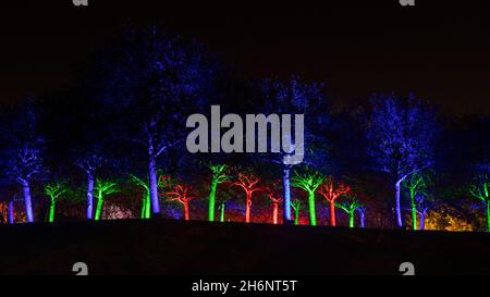 Autunnale Lights nel Bridgehead Park, Juelich, Germania Foto Stock