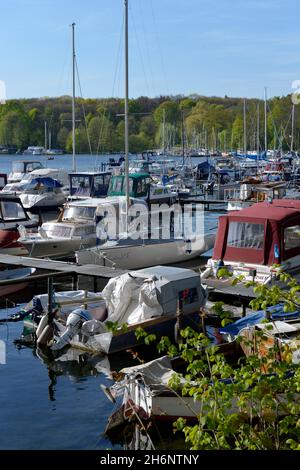 Jetty, Grosse Malche, Lago Tegel, Tegel, Reinickendorf, Berlino, Germania Foto Stock