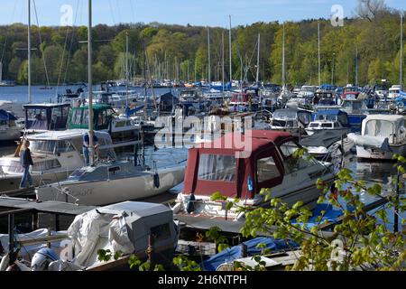 Jetty, Grosse Malche, Lago Tegel, Tegel, Reinickendorf, Berlino, Germania Foto Stock