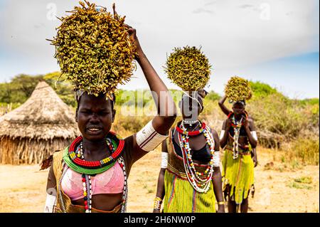 Ragazze con canne raccolte sulla loro testa in viaggio di ritorno a casa, tribù Toposa, Equatoria orientale, Sudan del Sud Foto Stock