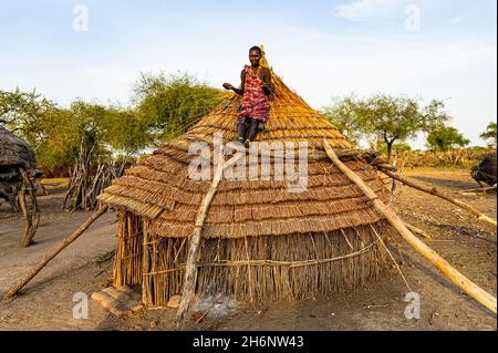 Donna che ripara un tetto di una capanna di costruzione tradizionale della tribù Toposa, Equatoria orientale, Sudan del Sud, Africa Foto Stock