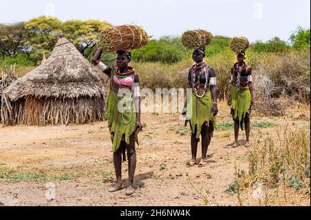 Ragazze con canne raccolte sulla loro testa in viaggio di ritorno a casa, tribù Toposa, Equatoria orientale, Sudan del Sud Foto Stock