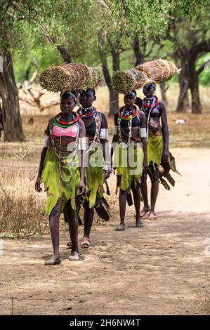 Ragazze con canne raccolte sulla loro testa in viaggio di ritorno a casa, tribù Toposa, Equatoria orientale, Sudan del Sud Foto Stock