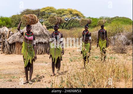 Ragazze con canne raccolte sulla loro testa in viaggio di ritorno a casa, tribù Toposa, Equatoria orientale, Sudan del Sud Foto Stock