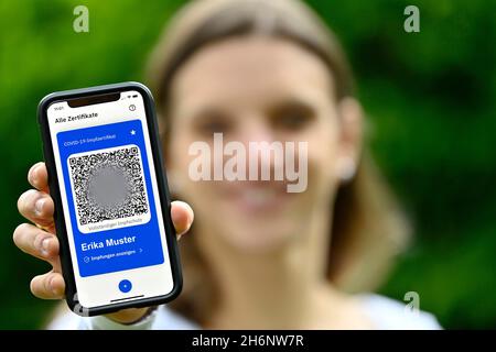 Privilegi di vaccinazione con foto Symbol, giovane donna con app CovPass su smartphone con certificato di vaccinazione digitale europeo, incluso il codice QR Foto Stock