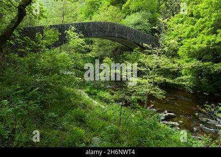 Chiselcombe Bridge sul fiume East Lyn a valle di Watersmeet nel Parco Nazionale Exmoor, Lynmouth, Devon, Inghilterra, Regno Unito Foto Stock
