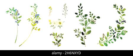Elementi di acquerello foglie verdi rami impostati. Composizione botanica acquerello dipinto a mano isolato su fondo bianco, adatto per botanica naturale Illustrazione Vettoriale