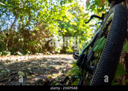 Un primo piano di uno pneumatico per bicicletta in ghiaia appoggiato a una recinzione durante un vialetto. Avventura in bici da sostentamento. Foto scattata in una bella giornata di sole. Foto Stock