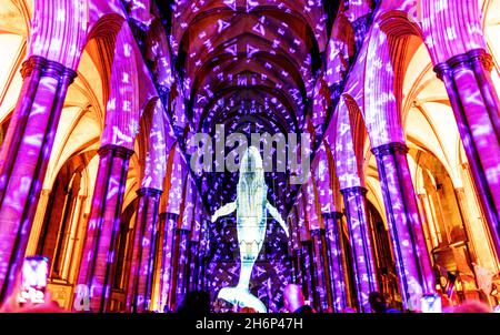 Sarum Lights Salisbury Cathedral Interior Light Show Salisbury Wilitshire Regno Unito Foto Stock