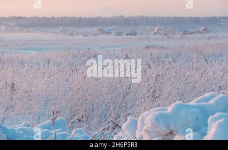 erba in grandi derive dopo nevicate e bizzardi, la stagione invernale con clima freddo e un sacco di precipitazioni sotto forma di neve coprire il Foto Stock