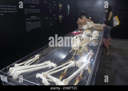 Parkket, Nonthaburi, Tailandia. 16 novembre 2021. Bambini e genitori che tengono simulati scheletri umani in stivali scheletrici. (Credit Image: © Atiwat Siltamethanont/Pacific Press via ZUMA Press Wire) Foto Stock