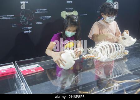 Parkket, Nonthaburi, Tailandia. 16 novembre 2021. Bambini che tengono repliche scheletriche umane in stivali scheletrici. (Credit Image: © Atiwat Siltamethanont/Pacific Press via ZUMA Press Wire) Foto Stock