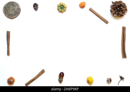 Il telaio è fatto di rami di eucalipto, foglie secche su fondo bianco Foto Stock