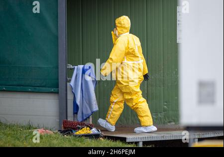 Vogelsang, Germania. 17 novembre 2021. Un dipendente di un vestito protettivo è in movimento presso la fattoria suinicola colpita dalla peste suina africana. È in corso la messa a punto dell'attrezzatura tecnica per l'uccisione degli oltre 4,000 suini. Il primo focolaio di peste suina africana nel Meclemburgo-Pomerania occidentale si è verificato presso lo stabilimento. Come reazione all'epidemia di ASF nel bestiame nel distretto di Rostock, tutti gli animali devono ora essere abbattuti e smaltiti. Credit: Jens Büttner/dpa-Zentralbild/dpa/Alamy Live News Foto Stock