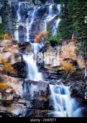 Groviglio cade con caduta salici colorati. Parco Nazionale di Jasper, Alberta, Canada Foto Stock