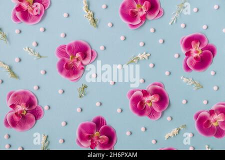 Motivo floreale creativo e colorato fatto di orchidee e foglie rosa su sfondo blu pastello. Design piatto alla moda. Foto Stock
