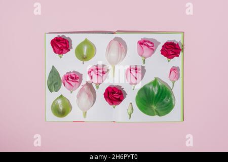 Creativo piatto di primavera con rose rosa e foglie verdi poste sulle pagine del libro. Composizione minima del concetto. Foto Stock
