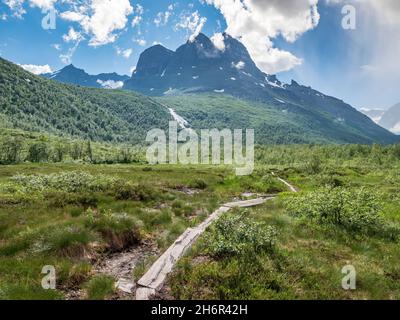 Sentiero escursionistico nella valle Innerdalen, vista alla montagna Skarfjellet, Norvegia Foto Stock