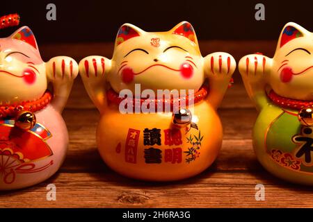 Gatti giapponesi (maneki neko) in porcellana. Si ritiene che portino Buona fortuna. Foto Stock