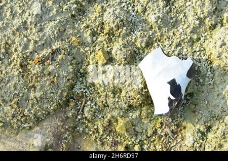 Minerale di pietra naturale. Estrazione di minerali utilizzati nella costruzione e progettazione paesaggistica. Sfondo calcareo, struttura di gesso. Formazione di roccia estratta dentro Foto Stock