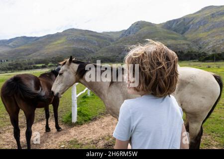 Ragazzo di otto anni appoggiato su una recinzione, guardando due cavalli in un campo Foto Stock