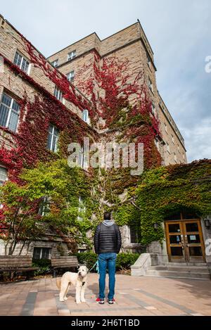 Uomo con cane guardando l'edera rosso edificio coperto nel campus universitario. Foto Stock